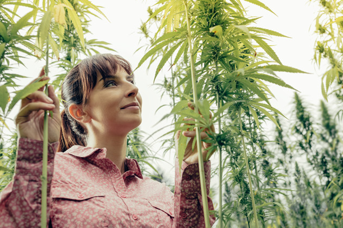 Hemp or Hype? Is CBD Skincare Worth It?